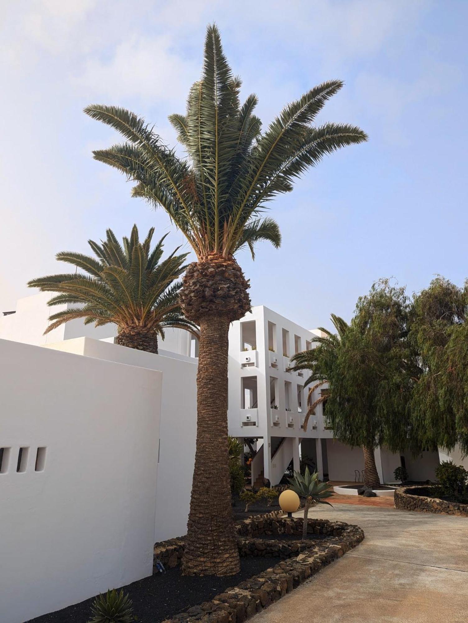 Charming Flat In Los Molinos With Terrace & Pools, Near Playa Bastian Costa Teguise Εξωτερικό φωτογραφία